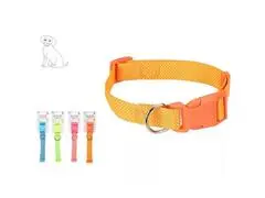 Collier pour Chien 4 Assorties 1 unité