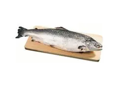 Saumon 1-2kg