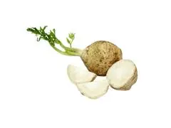 Céleri Rave Import 500g.