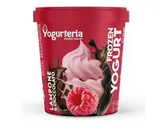 Pot de Yaourt Glacé Framboise & Chocolat Noir Yougurteria 500ml