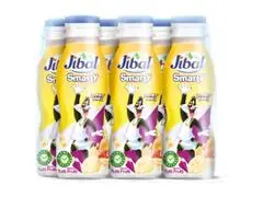 Yaourt à Boire Smarty Tutti Frutti Jibal 6 unités 165g