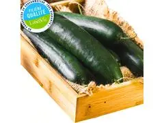 Concombre 500g - Filière Qualité.