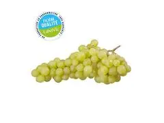 Raisin Senisla au Kg - Filière Qualité