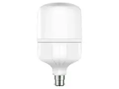 Lampe LED Haute Puissance B22B 20 W