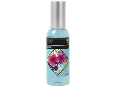 Spray turquoise Carrefour 75 ml