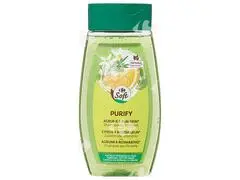Shampooing Normalisant Orange Romarin Les Cosmétiques Carrefour250ml