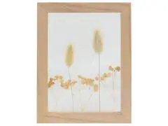 Tableau Rectangulaire avec Fleurs Séchées Kasa 20x15cm