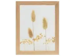 Tableau Rectangulaire avec Fleurs Séchées Kasa 23x18cm