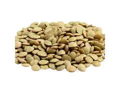 Lentilles 200g