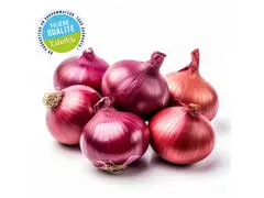 Oignon Rouge 6 Pièces - Filière Qualité
