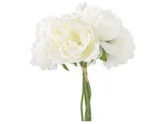 Lot de 5 Pivoines Blanches Kasa 20 cm