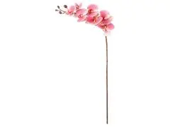Tige avec 7 Orchidées Roses Kasa 77 cm