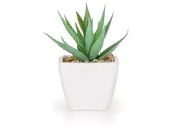 Plante Artificielle avec Pot Plastique Pierre Rose Kasa 6 cm