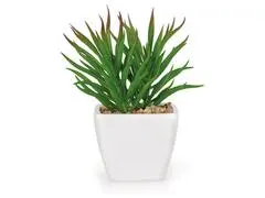 Plante Artificielle avec Pot Plastique Kasa 6 cm