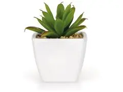Plante Artificielle Echeveria en Pot Plastique Kasa 6 cm