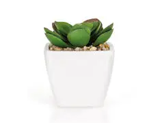 Plante Artificielle avec Pot Plastique Kasa 6 cm