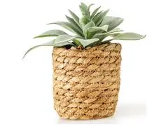 Plante Artificielle avec Pot Tisse Kasa 16 cm