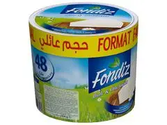 Fromage Fondu Fondiz 48 unités