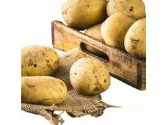 Pomme de Terre Blanche 500g