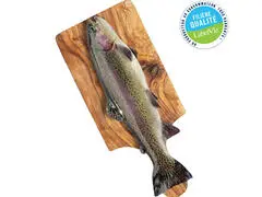 Truite Arc-en-ciel Moyenne 400-600g - Filière Qualité