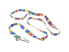 Laisse de Chien 120x2cm
