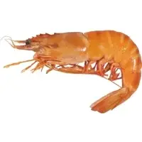 Crevettes Cuites Sauvages