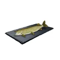 Brochet