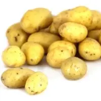 Pommes De Terre De Consommation Grenaille