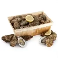 Huitres D Arcachon N03