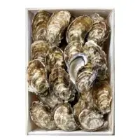 Huitres De Mediterranee N03 Filiere Qualite Carrefour