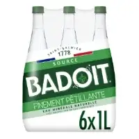 Eau Minerale Naturelle Gazeuse Finement Petillante Badoit