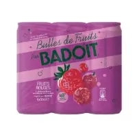 Eau Gazeuse Aromatisee Fruits Rouges Badoit
