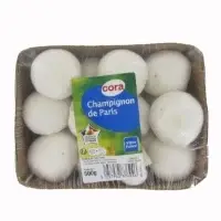 Champignon De Paris