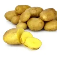 Pommes De Terre De Conservation Vrac