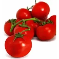 Tomates Rondes En Grappe Bio
