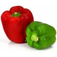 Poivrons Panaches Rouge Et Vert