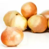 Oignons Jaunes Petit Prix