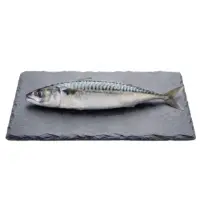 Maquereau