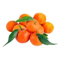 Clementines Feuilles Bio Vrac