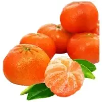 Mandarine Feuille Vrac Bio