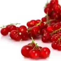 Groseilles Rouges