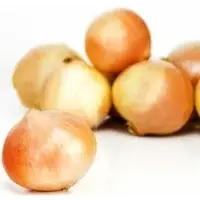Oignons Jaunes