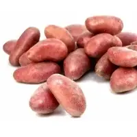 Pommes De Terre Rouges Vapeur