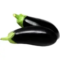 Aubergine Blanche