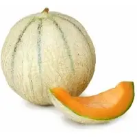 Melon Charentais Jaune Reflets De France
