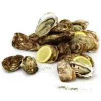 Huitres De Bouzigues Bassin De Thau N02 Filiere Qualite Carrefour