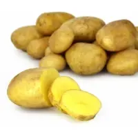 Pommes De Terre De Consommation Petit Prix