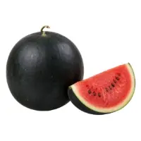 Mini Pasteque Noire