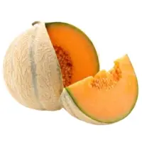 Melon De Cavaillon
