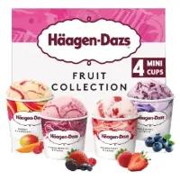 Glace en Pot Assortiment Fruit Collection HAAGEN-DAZS